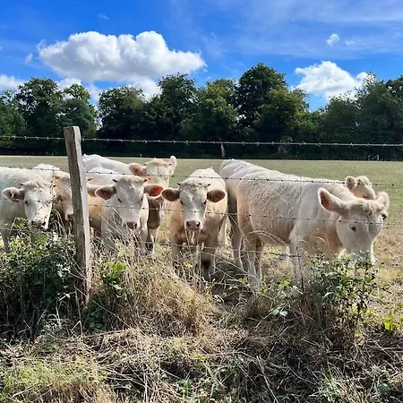 Magnifique Maison Au Coeur De La Campagne Normande *