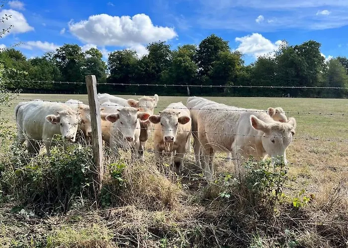 Magnifique Maison Au Coeur De La Campagne Normande *